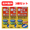 5/10限定!最大100%Pバック&全品2%OFFクーポン!【第3類医薬品】滋養強壮薬α 60錠 3個セット【皇漢堂】 小ビン送料無料 3個セット