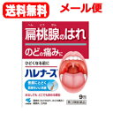 【第3類医薬品】【送料無料!メール便対応!】ハレナース 9包【小林製薬】(4)