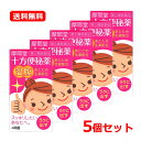 7/13〜7/15限定!全品2%OFFクーポン!【第(2)類医薬品】 【送料無料・5個セット】 摩耶堂製薬十方便秘薬(温腹) 48錠×5セット 便秘薬