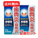 【第2類医薬品】 送料無料 排膿散エキス錠 63錠J 2個セット はいのうさん歯肉炎/化膿/扁桃炎