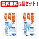 【第2類医薬品】【送料無料!】【2個セット!】桔梗石膏エキス錠 「コタロー」48錠【小太郎漢方】(キキョウセッコウ・ききょうせっこう)