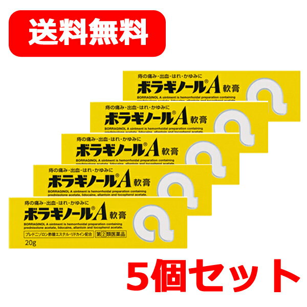 【第(2)類医薬品】ボラギノールA注入軟膏 (2g×30個)[送料無料（離島・沖縄を除く）]