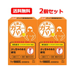 【大幸薬品】メール便 送料無料ラッパ整腸薬BF24包 2個セット【指定医薬部外品】個包装 細粒 便秘 軟便オレンジパッケージ