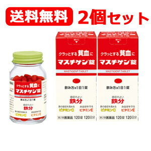 最大400円OFFクーポン！6/7 9:59まで！【第2類医薬品】【送料無料！】[2個セット]【日本臓器製薬】マス..