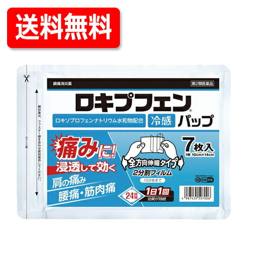 【第2類医薬品】送料無料！ラクールロキプフェンパップ　ラミネート袋7枚入