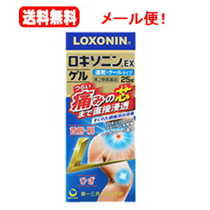 【第2類医薬品】【メール便！送料無料！】ロキソニン EX ゲル　25g　クールタイプ　速乾首筋　肩【第一..