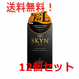 12個セット 送料無料！不二ラテックス アイアールSKYNラージ10個入り×12個セットskyn(スキン) premium SKYN10個 skyn…