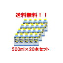 【第3類医薬品】【送料無料 】【ケンエー】 消毒用エタノールIP 500ml×20本セット （1ケース）【第3類医薬品】【健栄製薬】