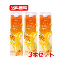送料無料 【3本セット】すっきり美味しいサジー 1000ml×3個セット