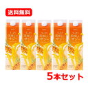 送料無料 【5本セット】すっきり美味しいサジー 1000ml×5個セット