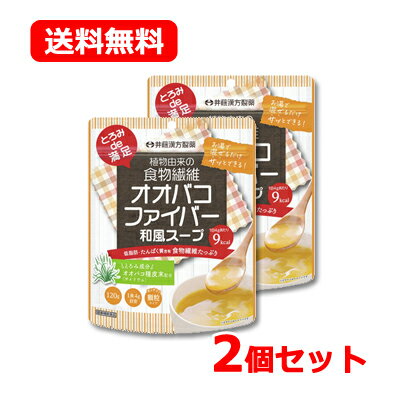 井藤漢方製薬 メール便 送料無料とろみde満足 オオバコファイバー 和風スープ 120g 30日分和風スープ 顆粒タイプ とろみ 低脂肪 2個セット