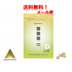 6/18限定！最大100％ポイントバック【メール便！送料無料！】【ファイテン】　酪酸菌180粒