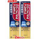7/13〜7/15限定!全品2%OFFクーポン!【送料無料 2個セット】【第一三共ヘルスケア】クリーンデンタルプレミアム 100g