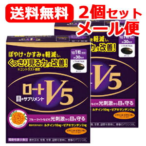 ロート製薬 2個セットメール便！ 送料無料！ ロートV5