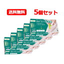 5/1限定!最大100%Pバック&全品P2倍サラヤ SARAYA スマート ハンド 手袋 ふつう サイズ 100枚 5個セット さくら色左右兼用 パウダーフリー...