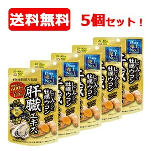 【井藤漢方】【送料無料・メール便】しじみの入った牡蠣ウコン　肝臓エキス 120粒 ×5個【5個セット ...