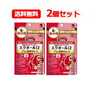 【小林製薬】【メール便!送料無料】【2個セット】発酵大豆イソフラボンエクオールα プラス美容サポート 60粒 2個セット