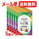 【送料無料!5個セット】【ツムラ】おいしい和漢ぷらす のど飴 49g×5