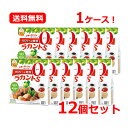 【送料無料・1ケース・12個セット】【サラヤ】SARAYA植物由来甘味料 ラカントS顆粒 720g×12セット低カロリー甘味料 カロリーゼロ 糖類ゼロ エリスリ...