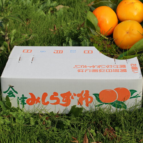 12/1限定！全品PT3倍＆最大400円OFFクーポン！令和5年　　　会津みしらず柿　【　3Lサイズ　5kg　】　約17玉約5キロ　のサムネイル