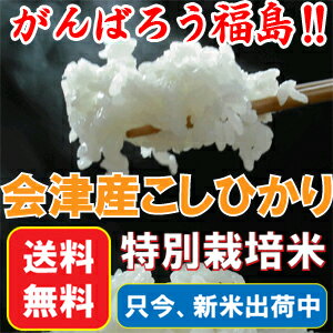 【新米!!】【2021年度産　現地直送！】【特別栽培米】　【特A】　会津産コシヒカリ100％　会津米　こしひかり　5kg【東北復興_福島県】※同梱不可（産地直送のため同梱できません）【Japankoshihikari】