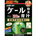 山本漢方ケール粉末青汁 170g(4)