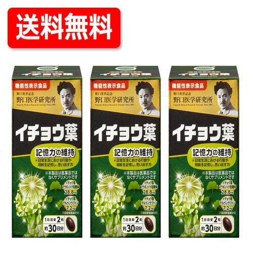 【送料無料!!】【3個セット!!】 野口医学研究所 イチョウ葉（510mg×60粒）約30日分×3個セット機能性表示食品（H220）