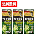 【送料無料!!】【3個セット!!】 野口医学研究所 イチョウ葉(510mg×60粒)約30日分×3個セット機能性表示食品(H220)