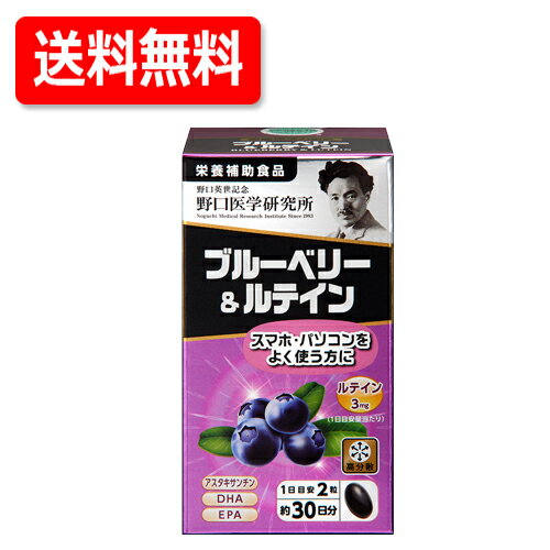 最大400円OFFクーポン！6/7 9:59まで！【野口医学研究所】ブルーベリー＆ルテイン（510mg×60粒）約30日..