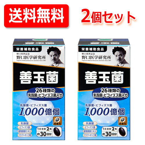 【野口医学研究所】善玉菌 (500mg×60粒)約30日分　【栄養補助食品】送料無料・2個セット