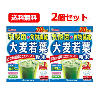 【2個セット！】【山本漢方製薬】乳酸菌＋大麦若葉　スティックタイプ　4g×30包のサムネイル