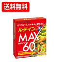 【井藤漢方製薬】ルテインMAX　50粒　送料無料