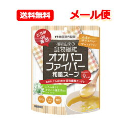 井藤漢方製薬 メール便 送料無料とろみde満足 オオバコファイバー 和風スープ 120g 30日分和風スープ 顆粒タイプ とろみ 低脂肪