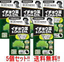 【送料無料！ 5個セット】【野口医学研究所】イチョウ葉＆DHA・EPA（510mg×60粒）約30日分×5個　【栄養補助食品】