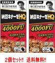 【野口医学研究所】【送料無料!! 2個セット!!】 納豆キナーゼHQ (285mg×120粒) 約30日分×2個 【栄養補助食品】