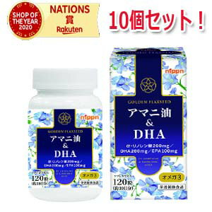 【10個セット】【日本製粉】アマニ油&DHA　120粒