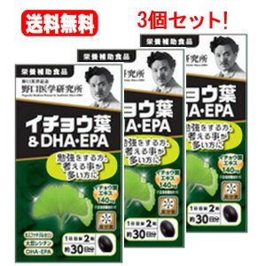 【送料無料!】 野口医学研究所 イチョウ葉＆DHA・EPA 60粒×6個　4562193141824*6