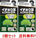 楽天エナジードラッグ【送料無料！2個セット】【野口医学研究所】イチョウ葉＆DHA・EPA（510mg×60粒）約30日分×2個　【栄養補助食品】