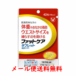 【メール便送料無料】【大正製薬】ファットケアタブレット　42粒(14日分)