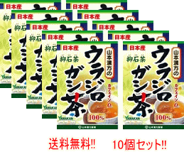 【山本漢方】【送料無料!!】【10個セット！】　ウラジロガシ茶　100%　5g×20包10個セット【リニューアルパッケージ！】のサムネイル