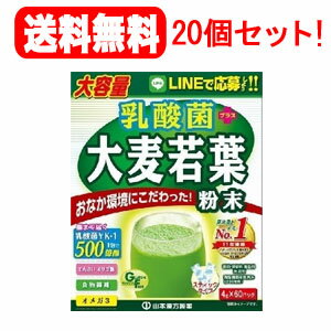 【送料無料！20個セット！】【山本漢方製薬】　乳酸菌大麦若葉粉末スティックタイプ　4g×60包入　【おいしい青汁】【1ケース】【20個セット!!】 1