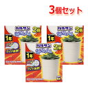 全品2%OFFクーポン!7/20までレック バルサン 虫こないもん 置くだけタイププランツ 効果1年 3個セット