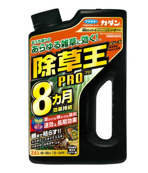 9/5限定！最大100％Pバック＆最大1,000円OFFクーポン＆全品2％OFFクーポン送料無料 カダン除草王シャワーS2L1個 期限2024年1月まで フマキラー カダン 除草王シリーズ 除草剤 カダン除草王プロシャワー 2000ml