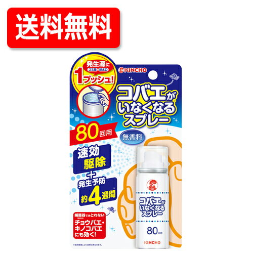 送料無料　大日本除蟲菊コバエがいなくなるスプレー80回用　20ml