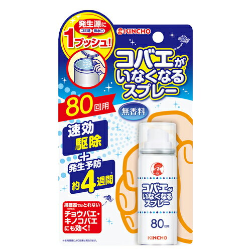 大日本除蟲菊コバエがいなくなるスプレー80回用　20mlのサムネイル