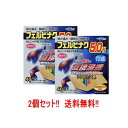 【第2類医薬品】【送料無料!! 2個セット!!】【テイコクファルマケア】オムニードFBプラスターα40枚×2個