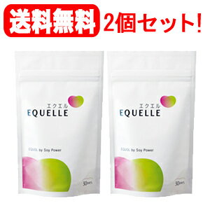 【送料無料!2個セット!】【大塚製薬】エクエルEQUELLEパウチタイプ120粒×2個