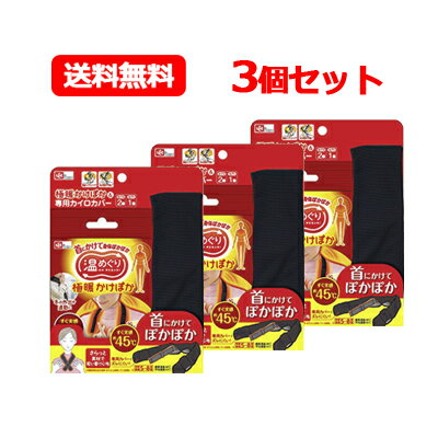 レック 極暖かけぽか さらっとカバー付き 【1セット】専用カイロカバー付き カイロ 2個 カバー1個 ...