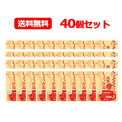 改源【カイゲン】改源 しょうが湯 15g×6袋入 40個セット生しょうが 温活 国産素材 送料無料 1ケース!