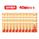 7/13~7/15限定!全品2%OFFクーポン!改源【カイゲン】改源 しょうが湯 15g×6袋入 40個セット生しょうが 温活 国産素材 送料無料 1ケース!